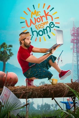 Mr. Work from Home