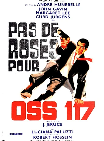 Poster de No hay flores para OSS 117