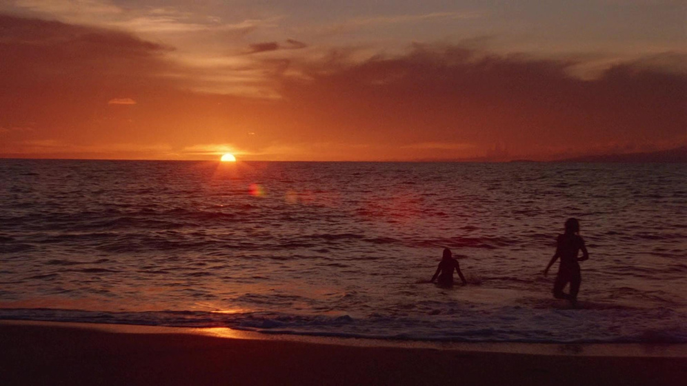 Imagen de Savage Beach