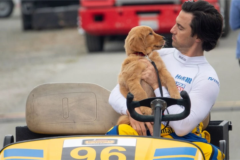 Milo Ventimiglia en el-arte-de-vivir-bajo-la-lluvia