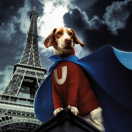 Imagen de Superdog