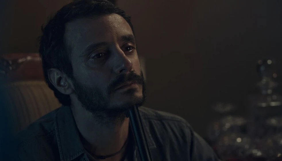 Ignacio Mateos en animales-sin-collar