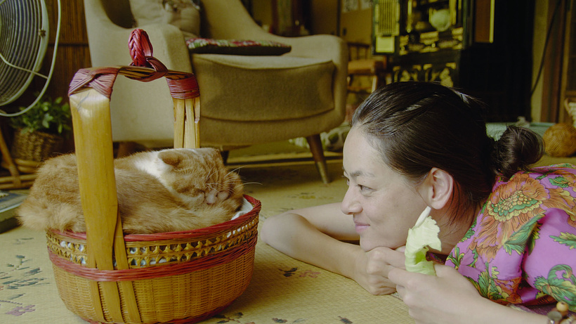 Imagen de Rent a cat