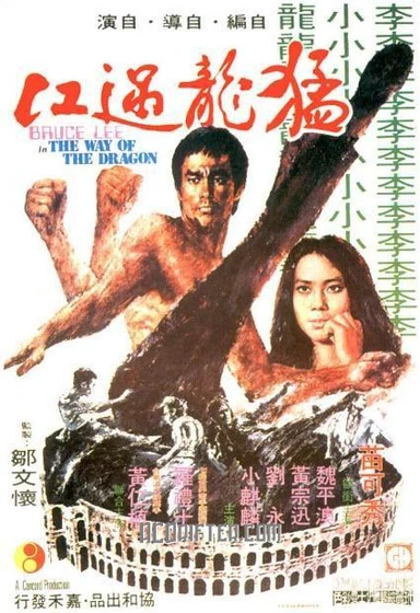 Imagen de el-furor-del-dragon (Poster)