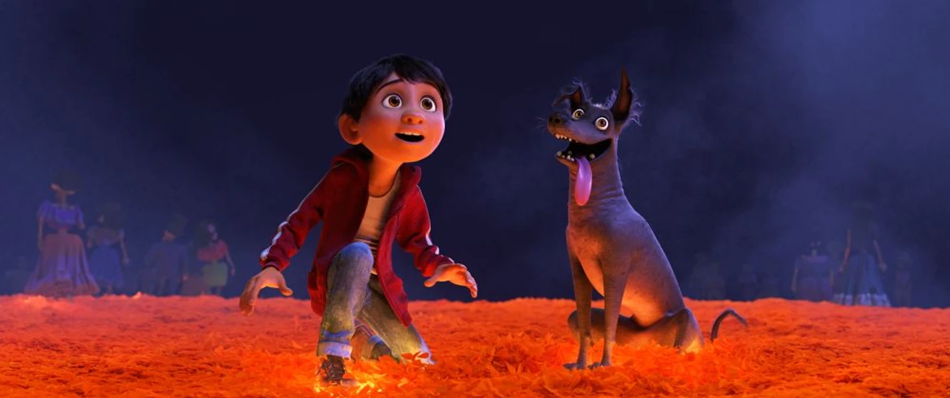 Imagen de coco