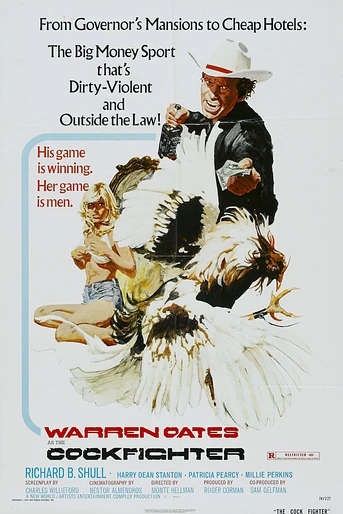 Poster de Gallos de pelea