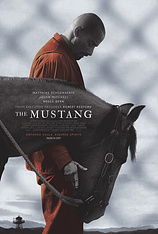 poster of movie The Mustang