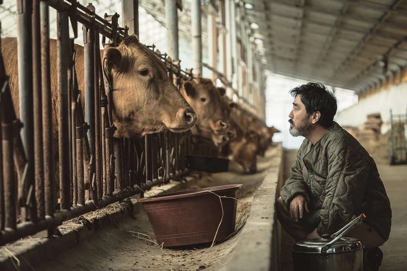 Seung-Ryong Ryu en cattle-run