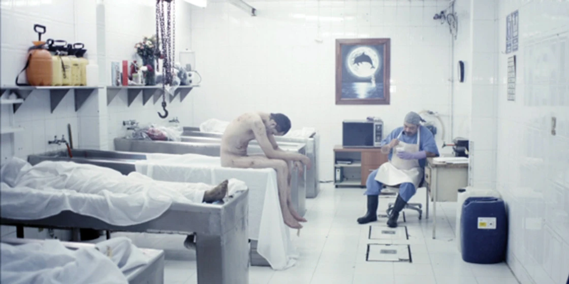 Imagen de halley