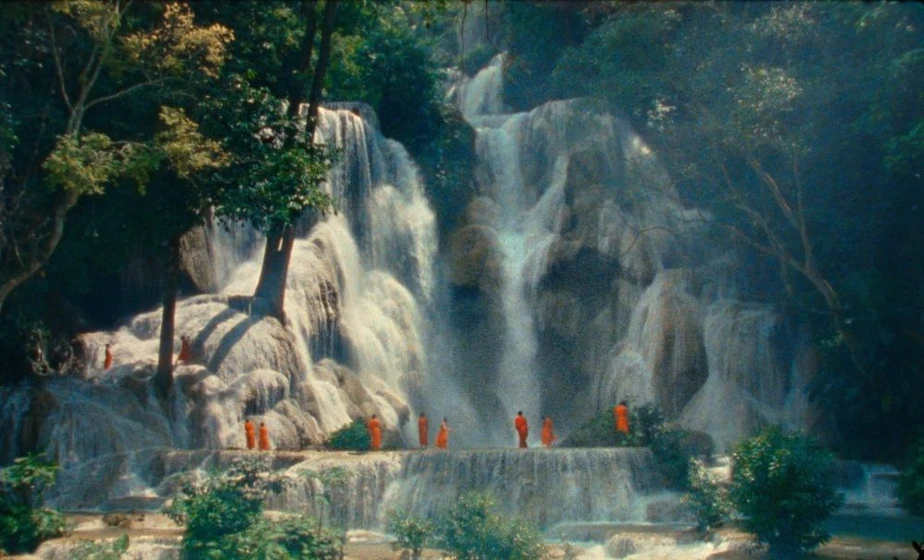 Imagen de samsara-2023