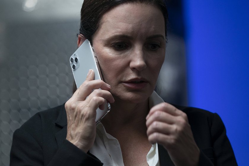 Kristin Davis en Ladrones con Clase