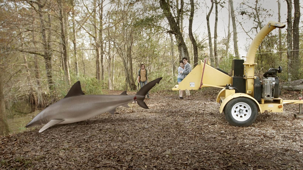 Imagen de Ozark Sharks