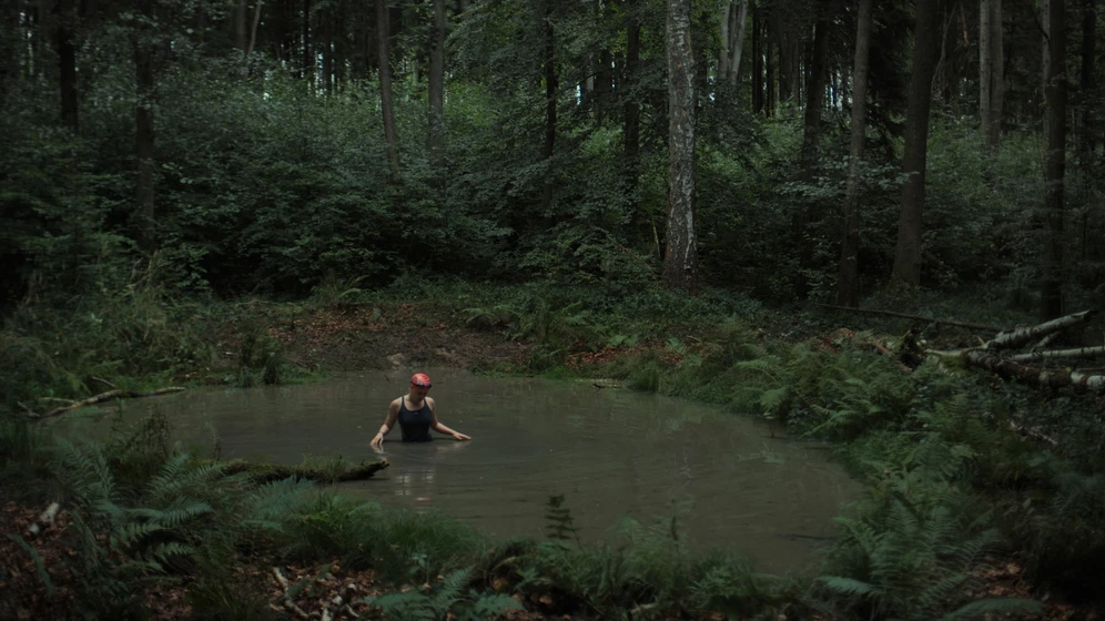 Imagen de the-other-side-of-summer