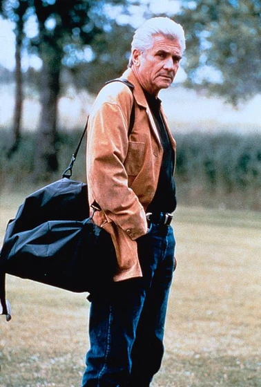 James Brolin en decision-acertada