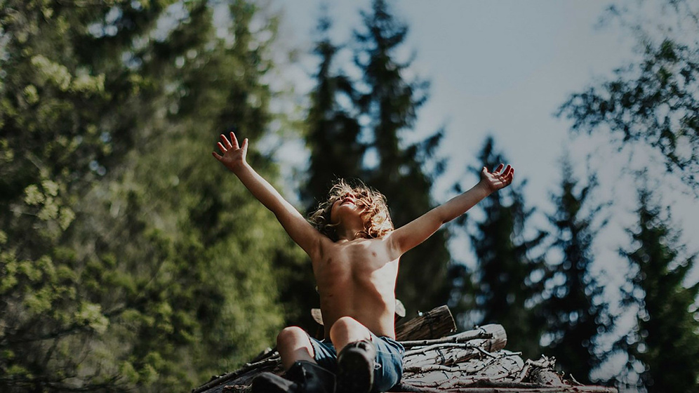 Imagen de A New Kind of Wilderness