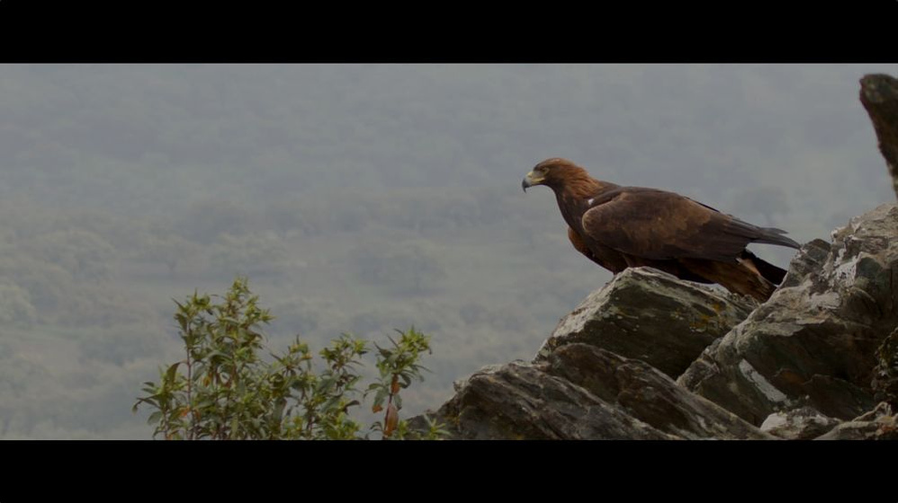 Imagen de Iberia, Naturaleza Infinita