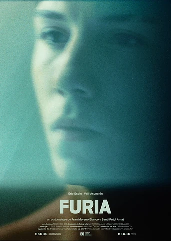 Poster de Furia
