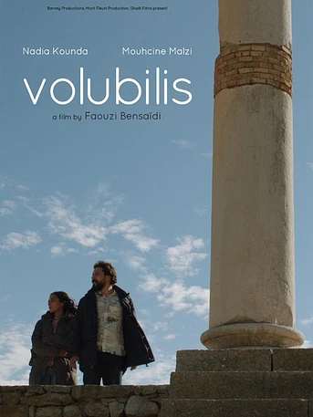 Poster de Volubilis