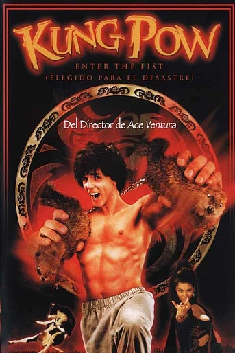 Poster de Kung Pow: Elegido para el Desastre