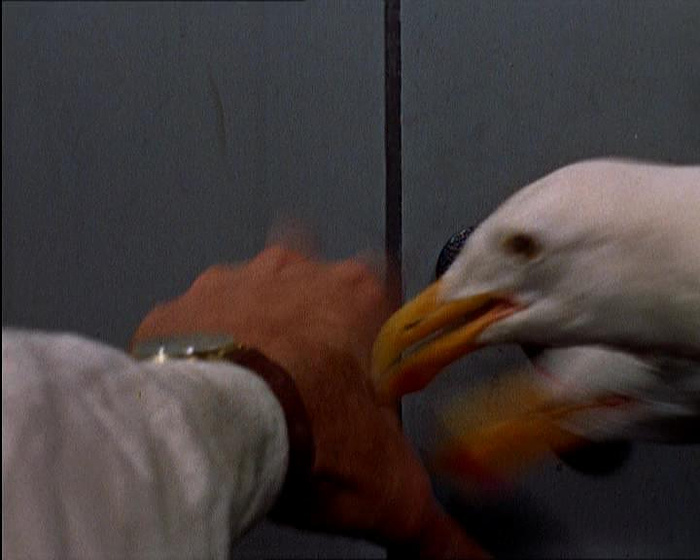 still of movie Los Pájaros