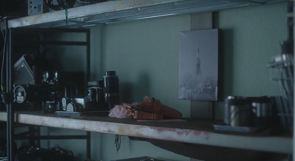 Imagen de efimera-como-la-flor-del-cerezo