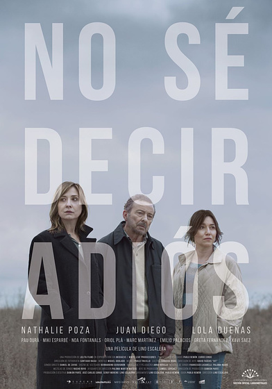 Imagen de No sé decir adiós (Cartel español)