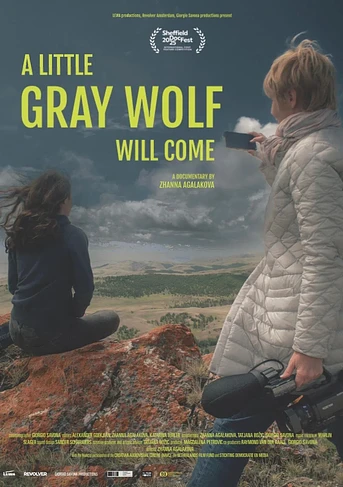 Poster de A Little Gray Wolf will come