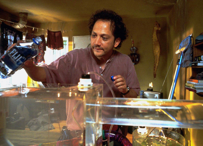 Rob Schneider en Gigoló