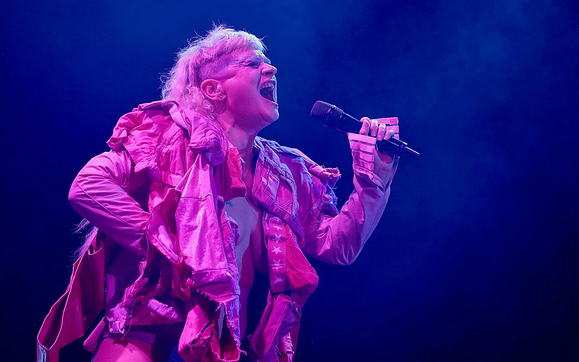 Imagen de Teaches of Peaches