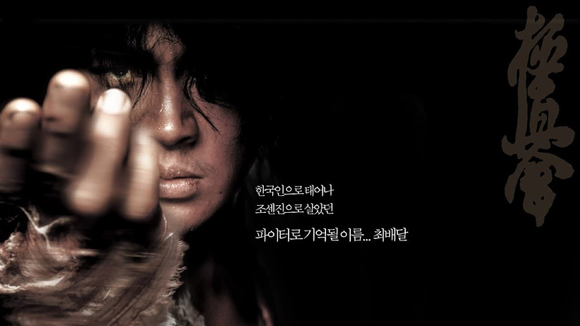 Imagen de Fighter in the Wind