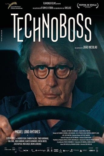 Poster de Technoboss
