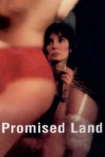 Poster de Promised Land