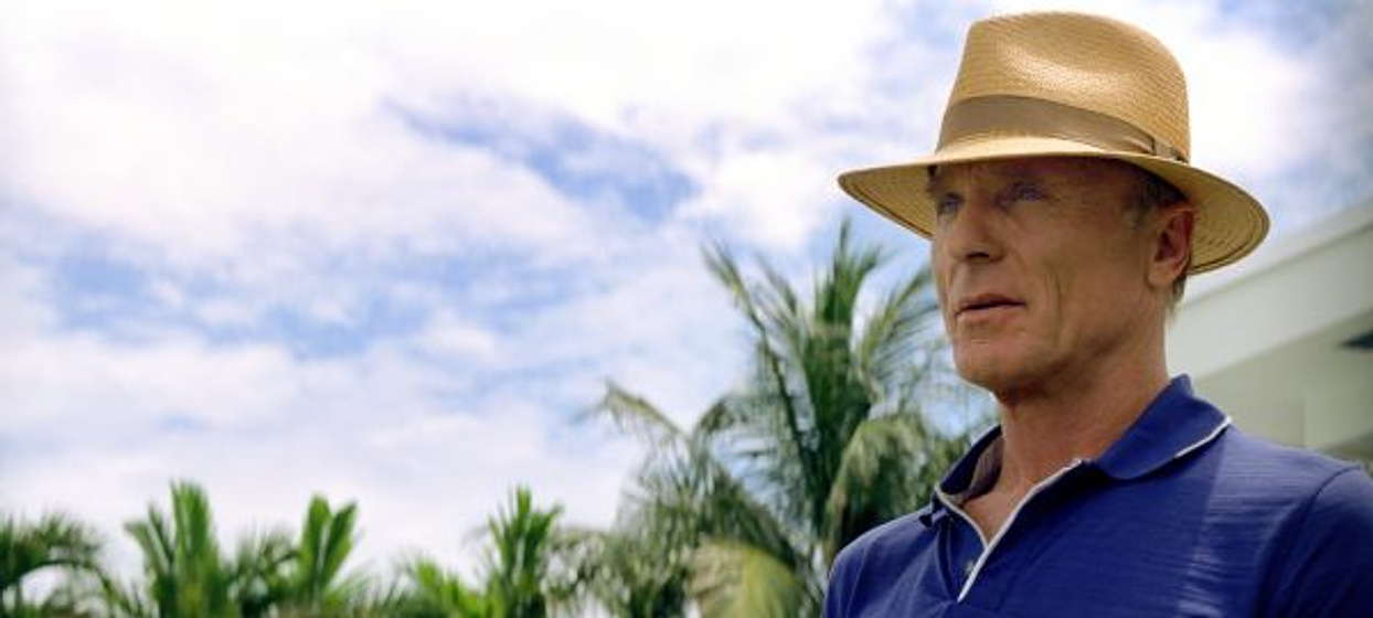 Ed Harris en Dolor y Dinero