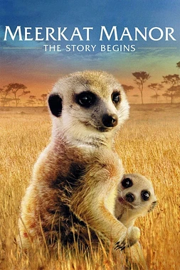 Meerkat Manor: The story begins