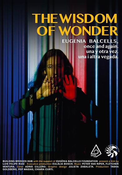 Imagen de The Wisdom of Wonder (Cartel)