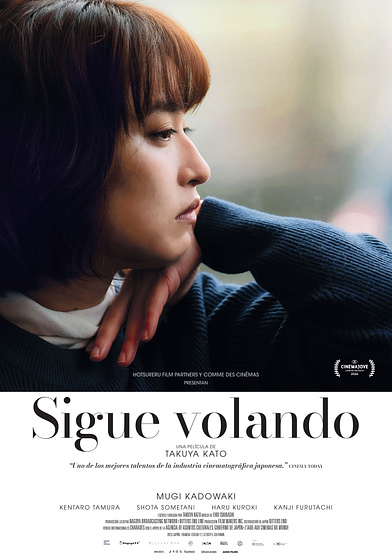 Imagen de Sigue Volando (Cartel español)
