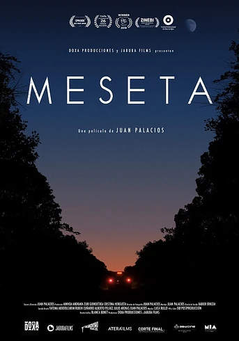Poster de Meseta