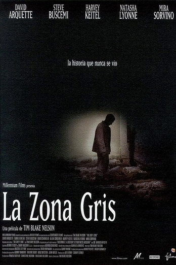 poster of content La zona gris