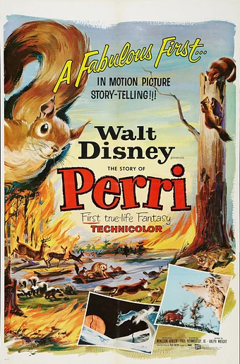 Poster de Perri