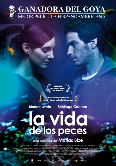 Imagen de la-vida-de-los-peces (Cartel)