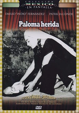 Paloma herida