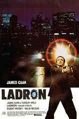 poster of movie Ladrón