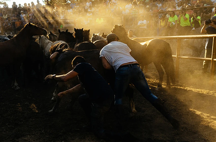 Imagen de trote
