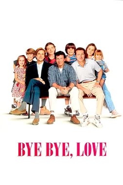 poster of movie Bye bye, love