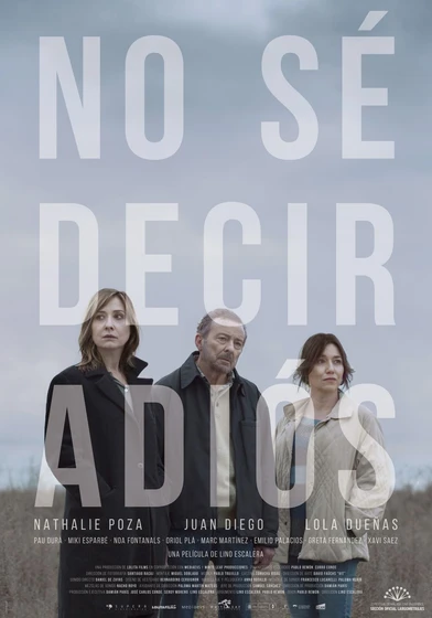 Imagen de no-se-decir-adios (Cartel español)