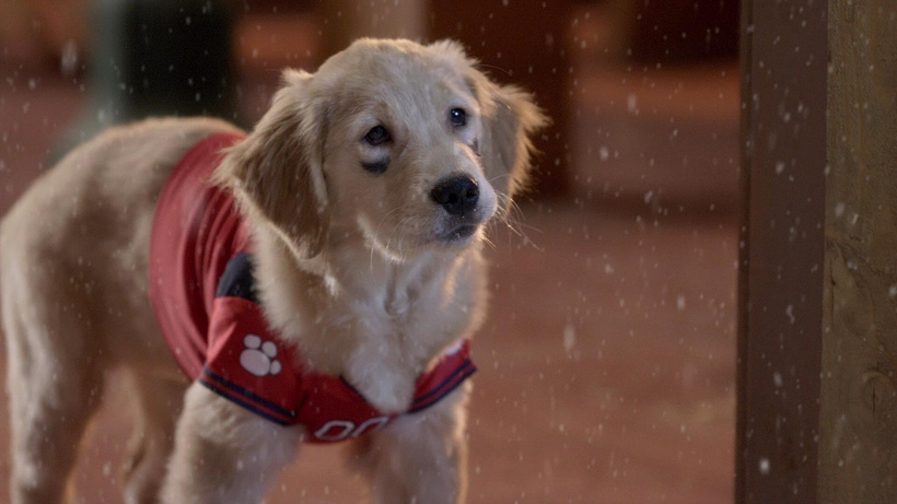 Imagen de Navidad con los Buddies: En busca de Santa Can