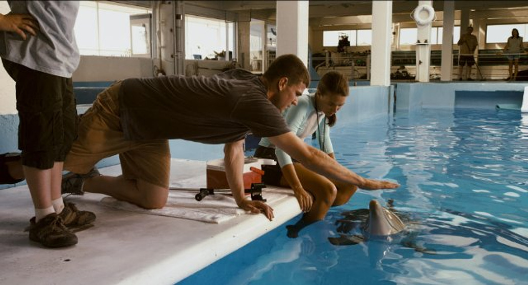 Austin Stowell y Austin Highsmith en La Gran aventura de Winter el delfín