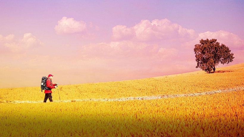 Imagen de The Way, My Way