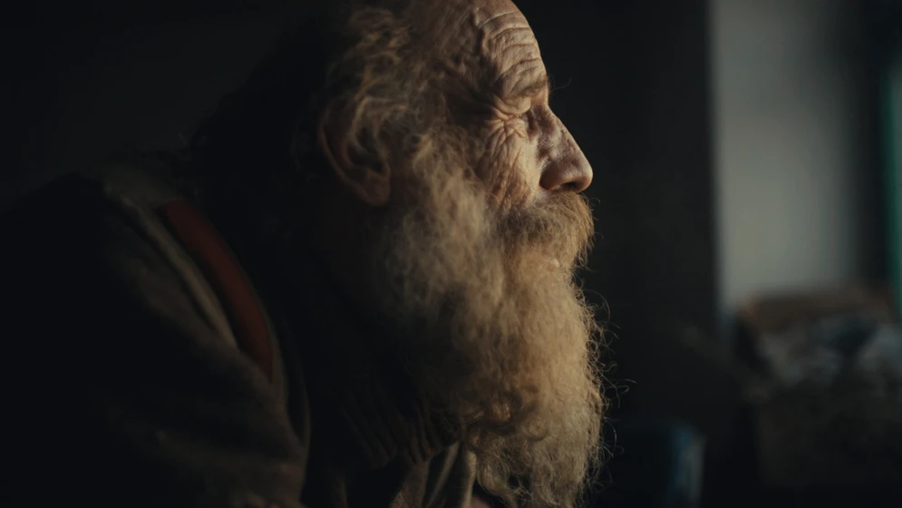 Imagen de better-go-mad-in-the-wild