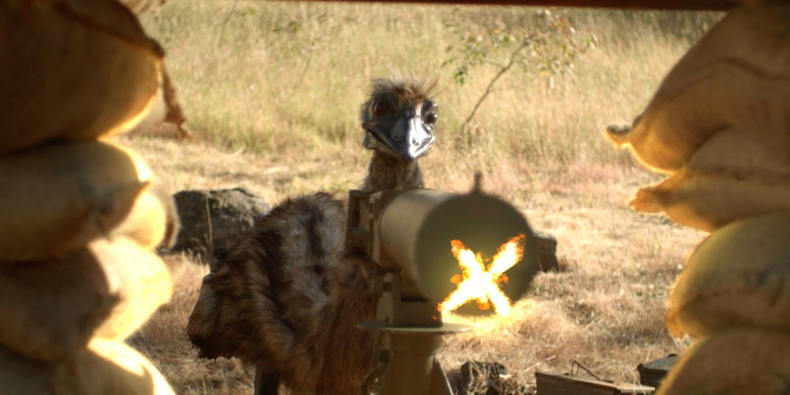 Imagen de The Emu War